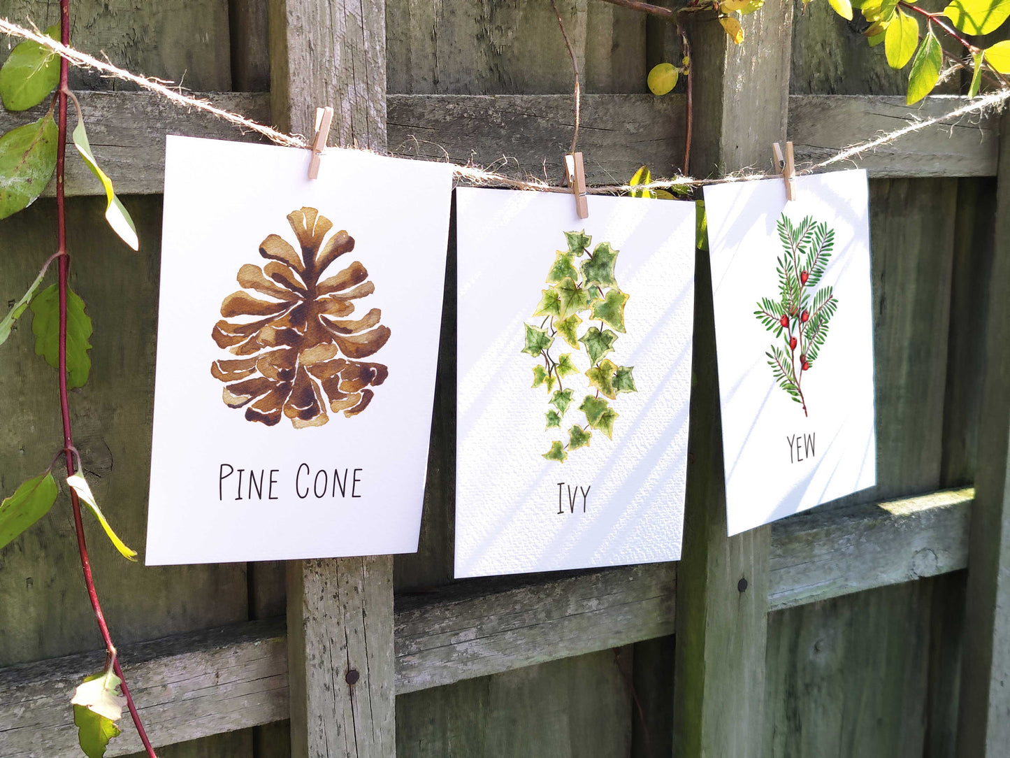 Christmas Watercolour Table Name Cards