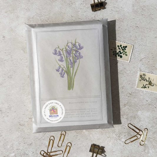 Set of 6 Wildflower Purple and Blue Note Cards & Envelopes