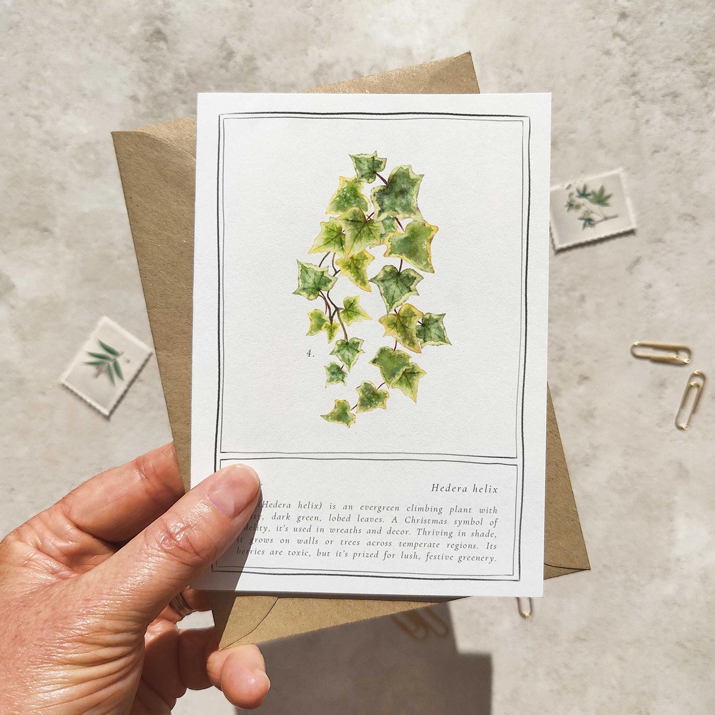 Hand holding a card with a botanical illustration of ivy leaves on a textured surface.