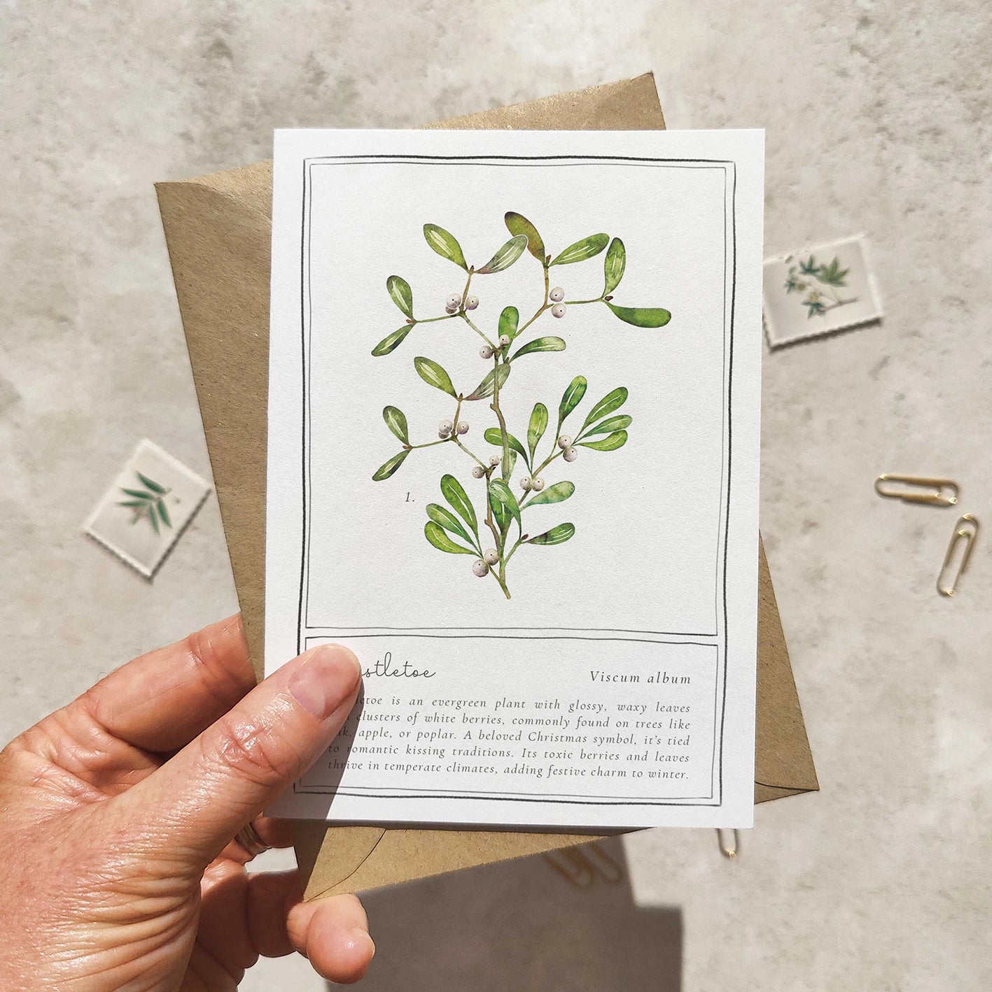 Hand holding a card with a botanical illustration of mistletoe on a textured surface.
