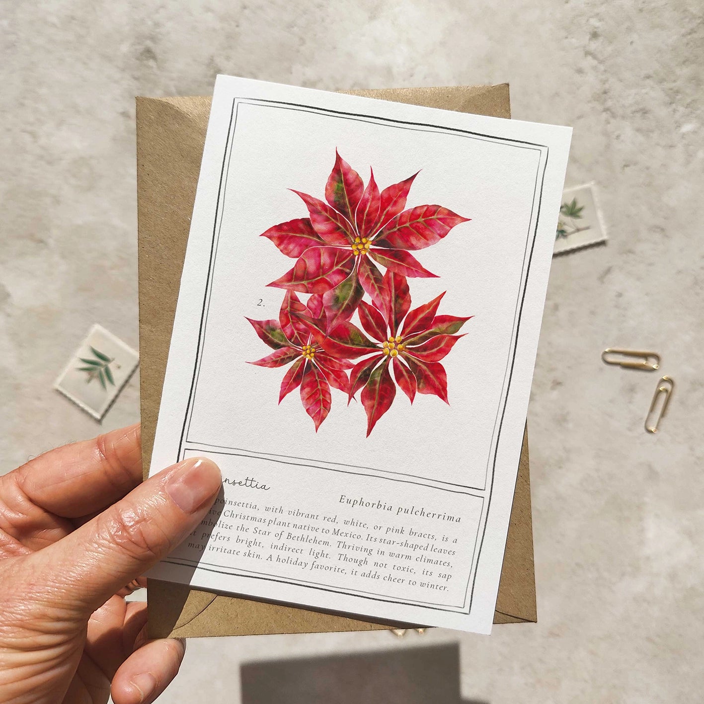 Hand holding a card with poinsettia illustration on a textured surface