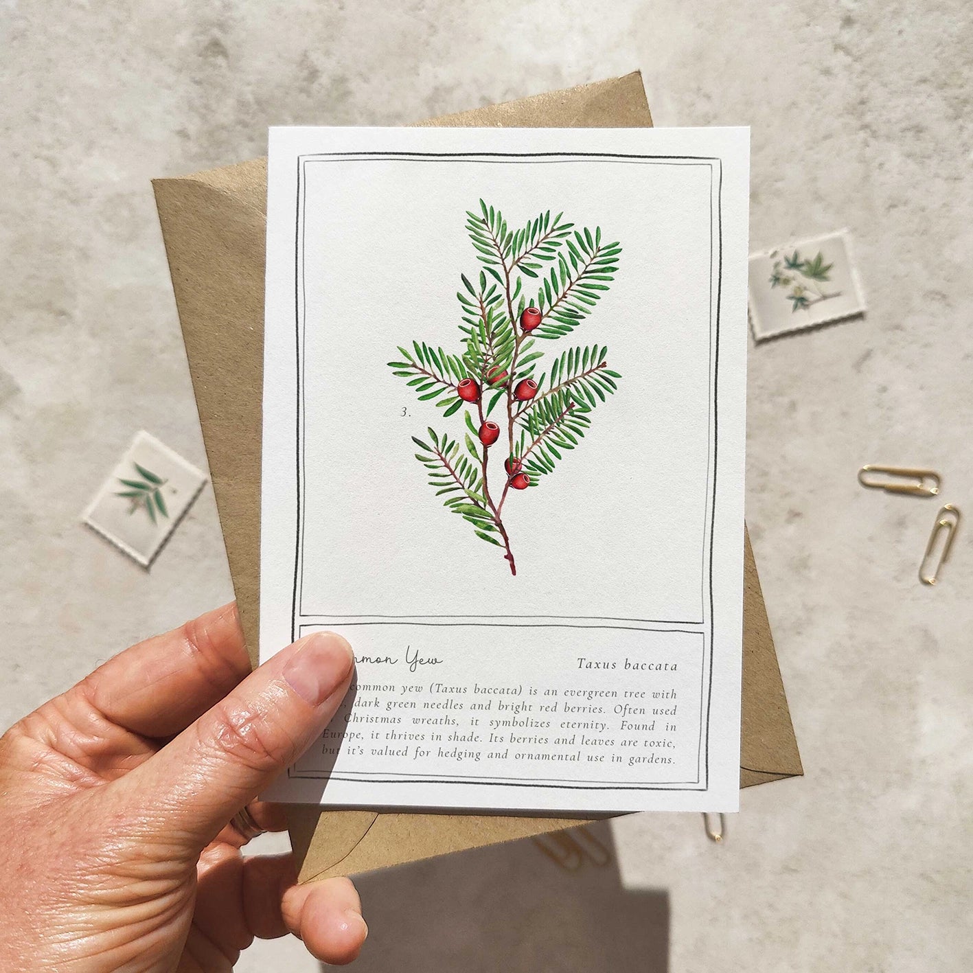 Hand holding a card with a botanical illustration of a plant, surrounded by similar cards and an envelope on a textured surface.