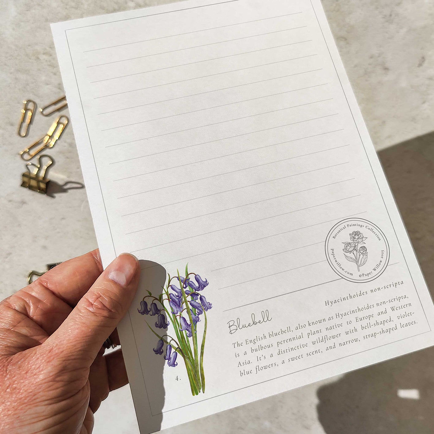Botanical Letter Writing Set