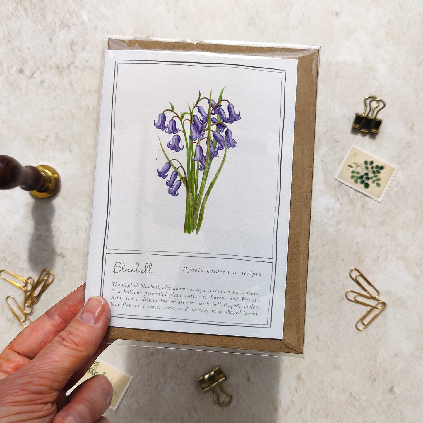 Bluebell Botanical Folded Note Card & Envelope