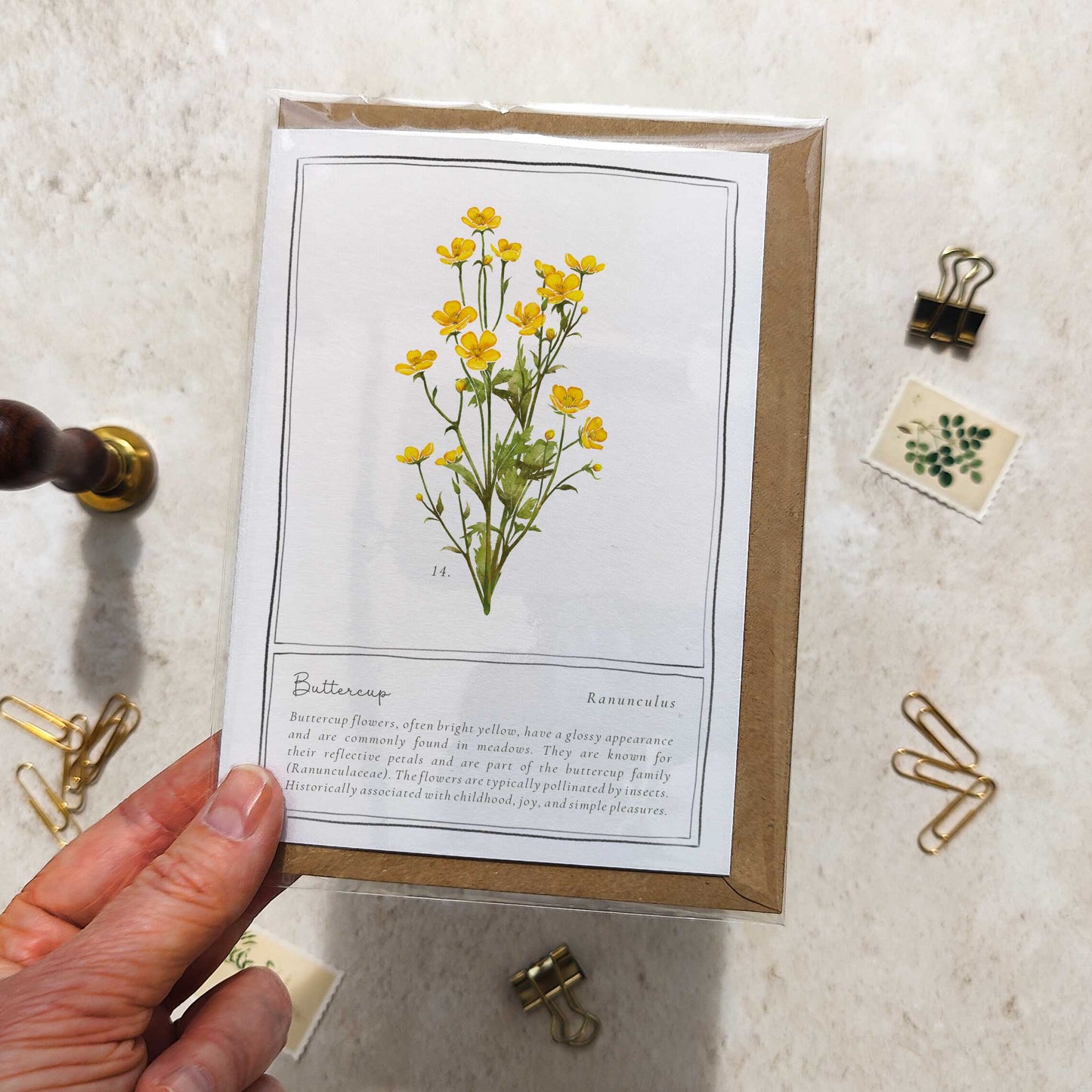 Buttercup Botanical Folded Note Card & Envelope