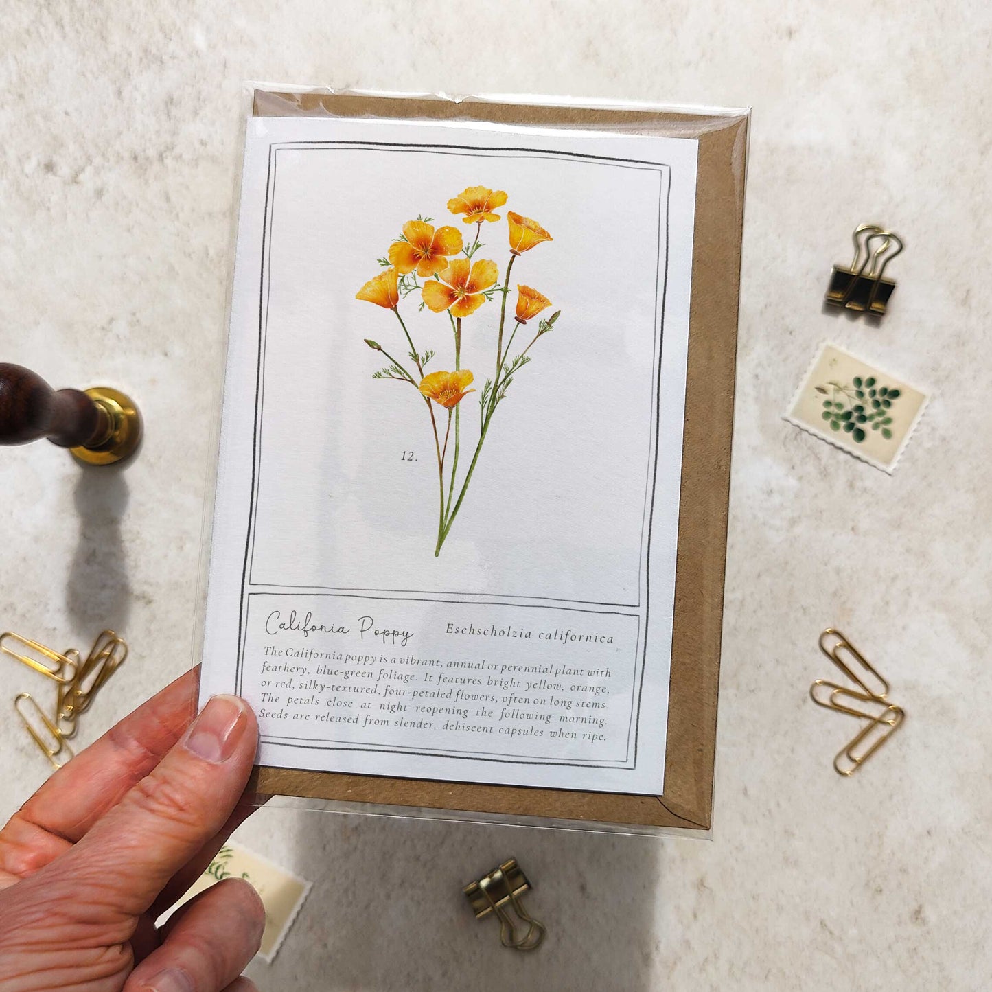 California Poppy Botanical Folded Note Card & Envelope