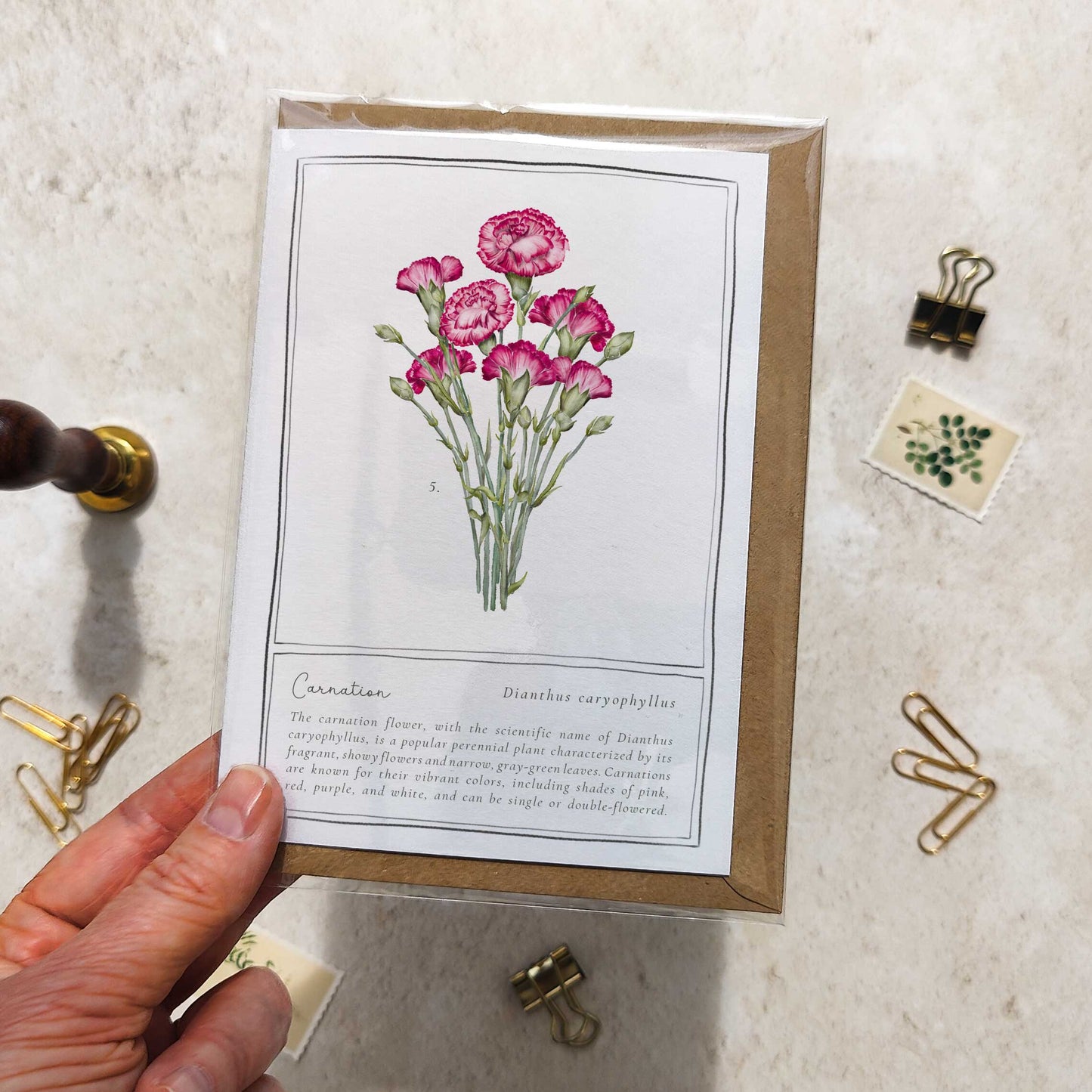 Carnation Botanical Folded Note Card & Envelope