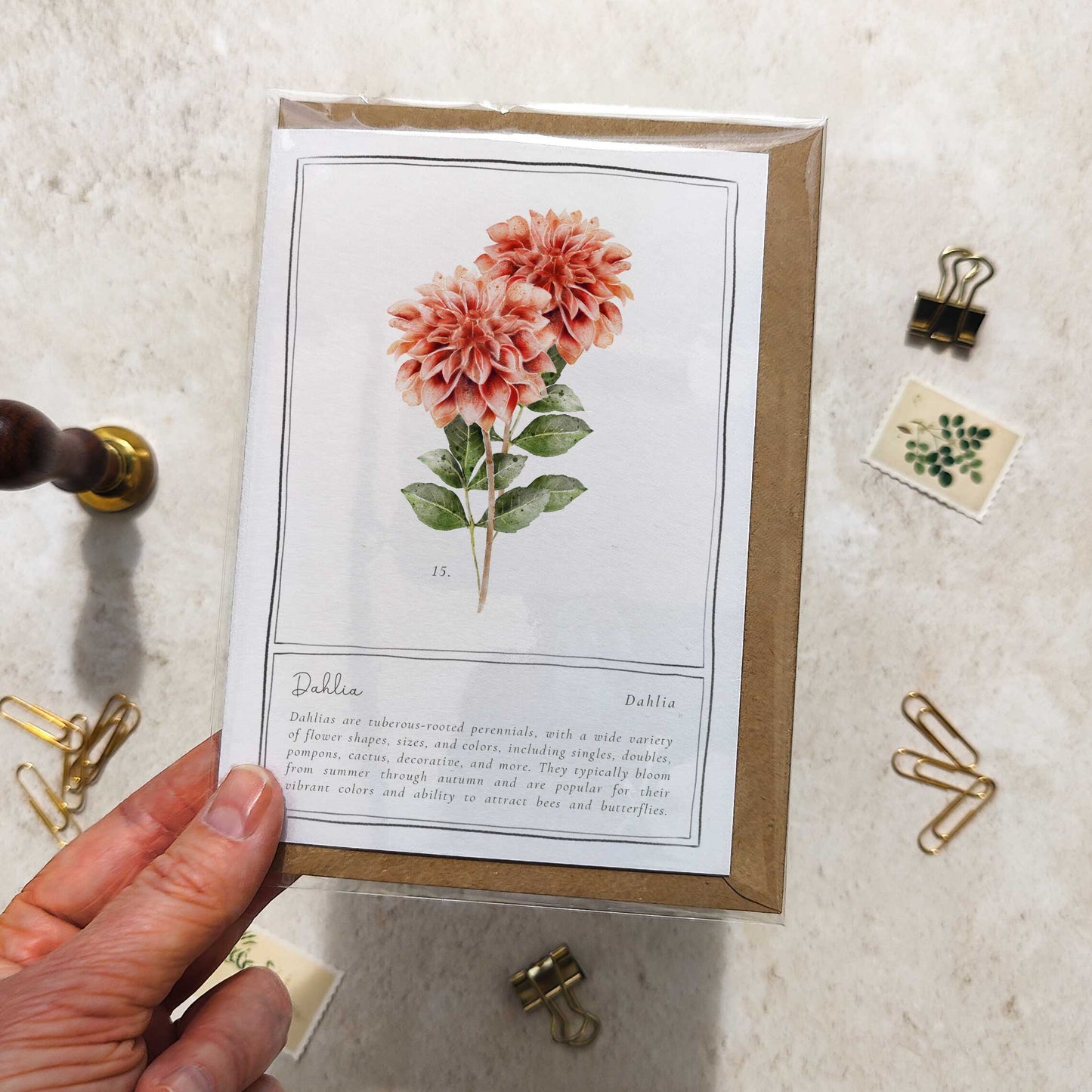 Dahlia Botanical Folded Note Card & Envelope