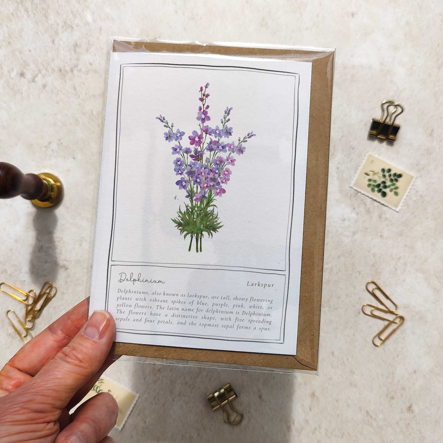Delphinium Botanical Folded Note Card & Envelope