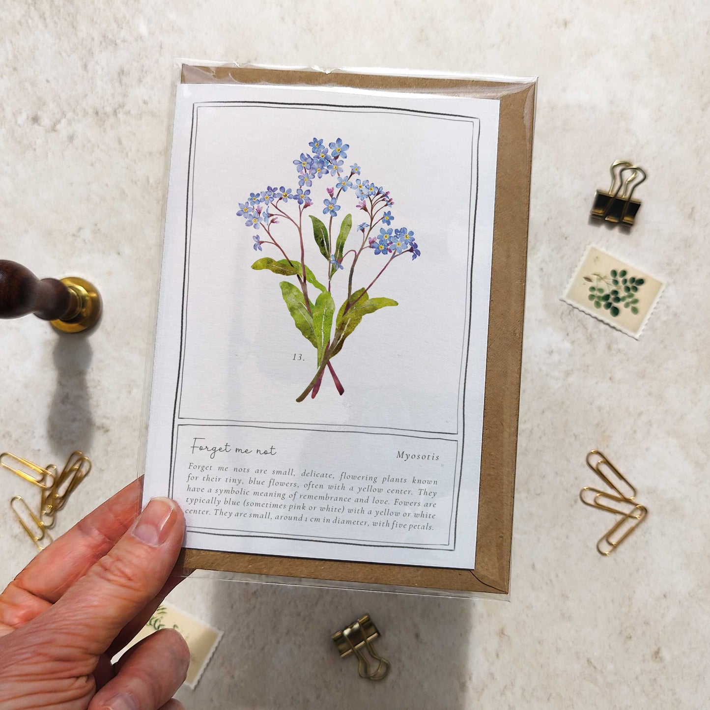 Forget Me Not Botanical Folded Note Card & Envelope