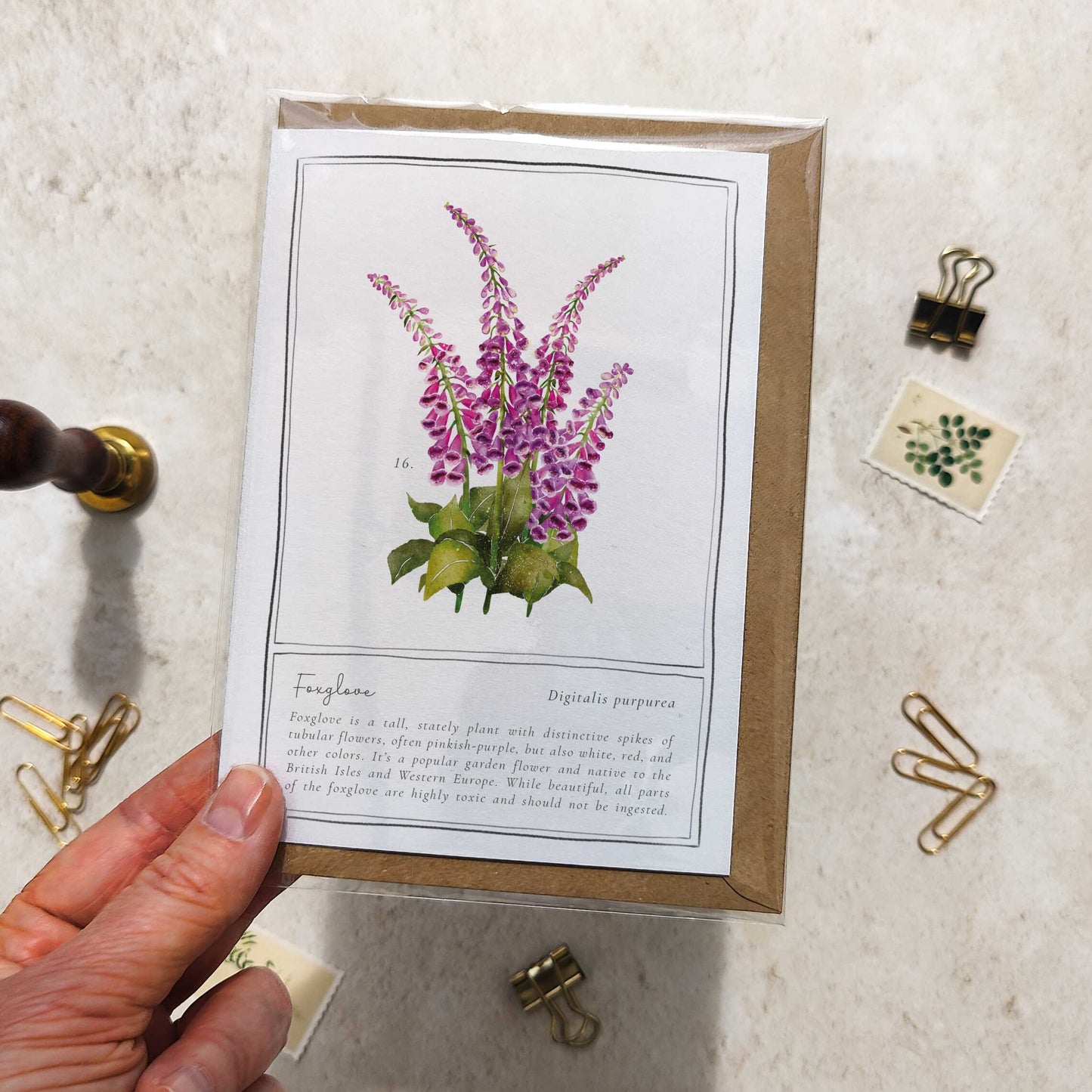 Foxglove Botanical Folded Note Card & Envelope