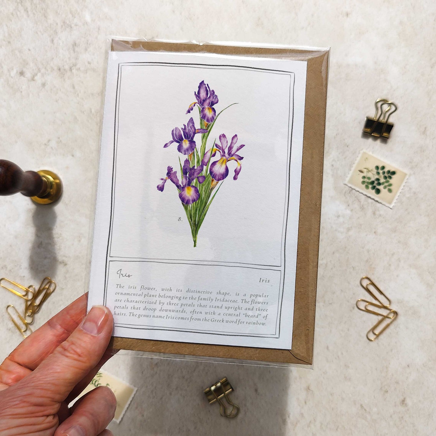 Iris Botanical Folded Note Card & Envelope