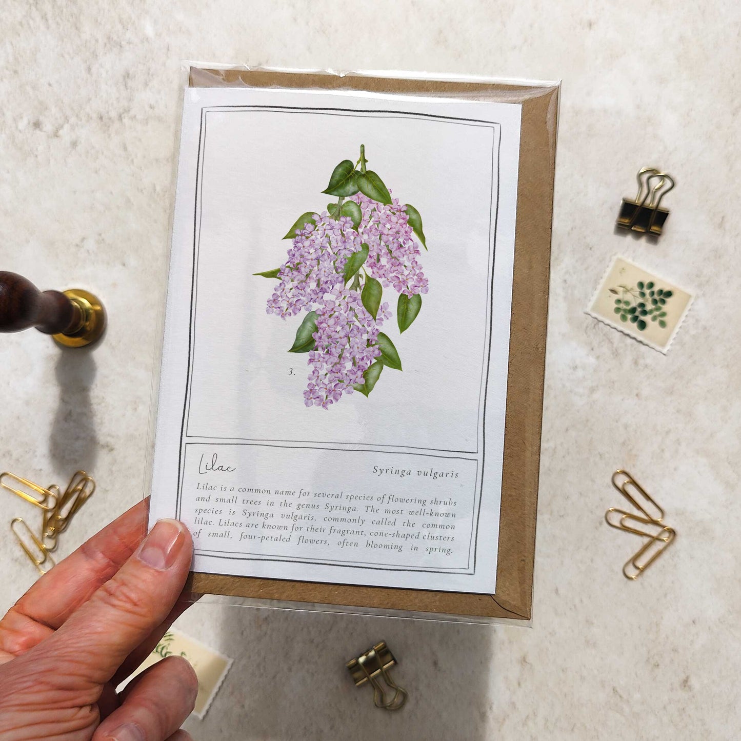 Lilac Botanical Folded Note Card & Envelope