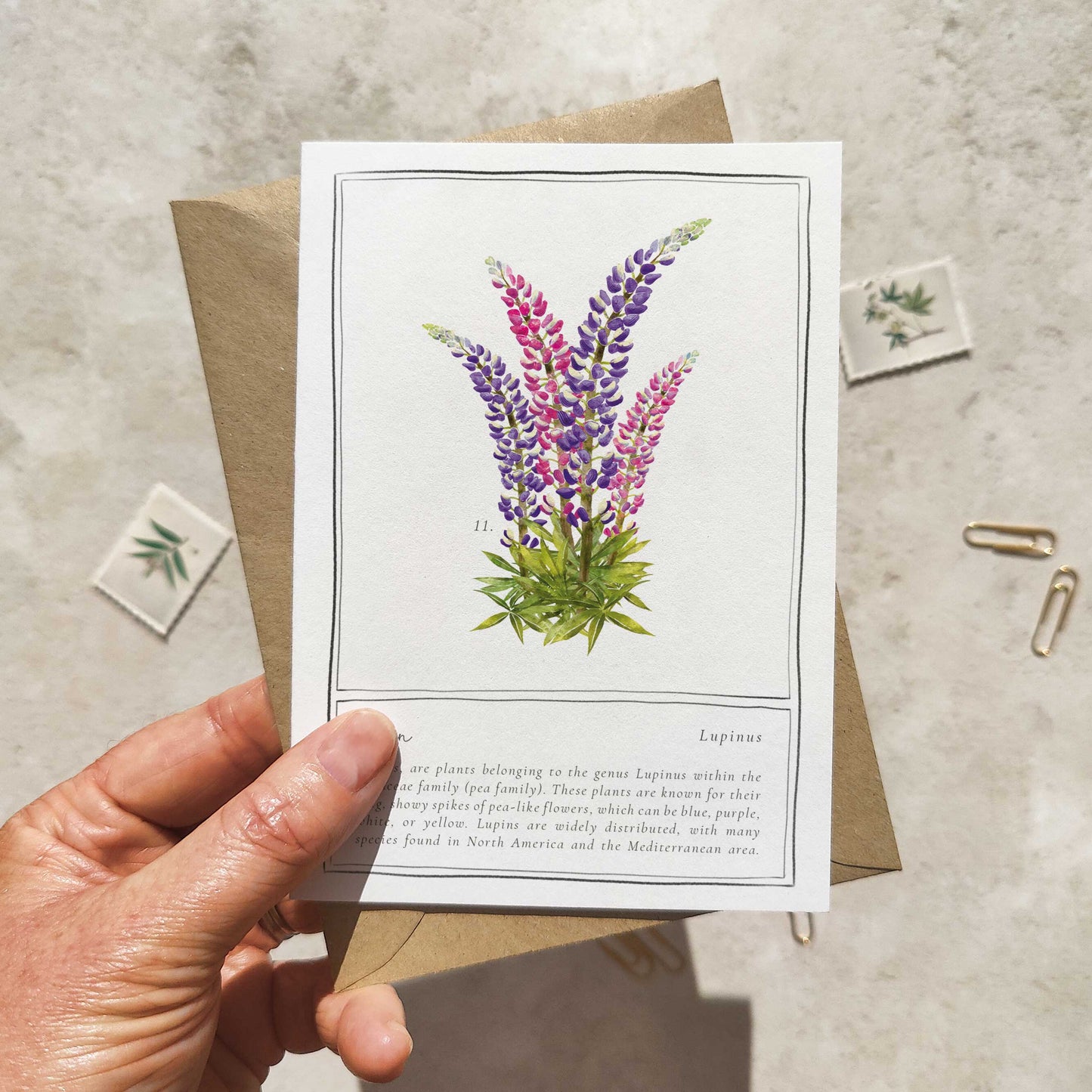Lupin Botanical Folded Note Card & Envelope