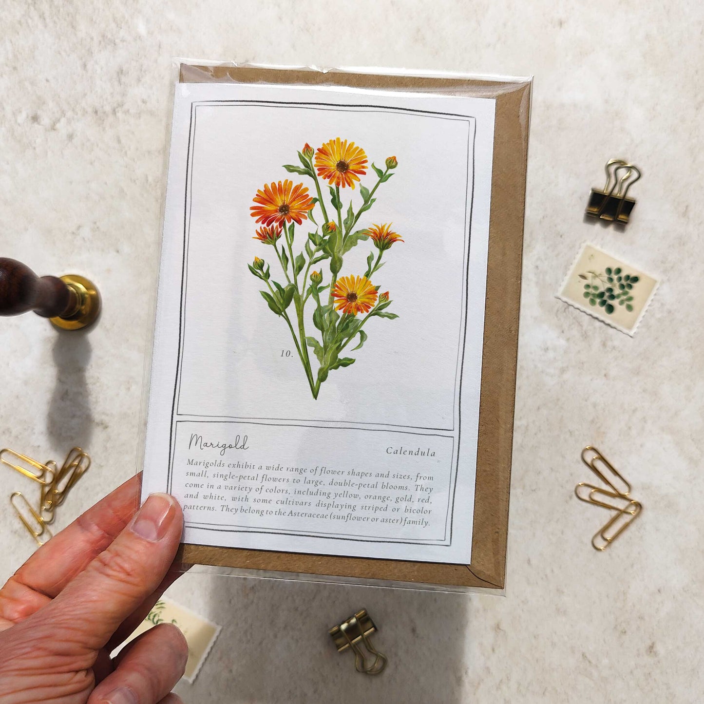 Marigold Botanical Folded Note Card & Envelope