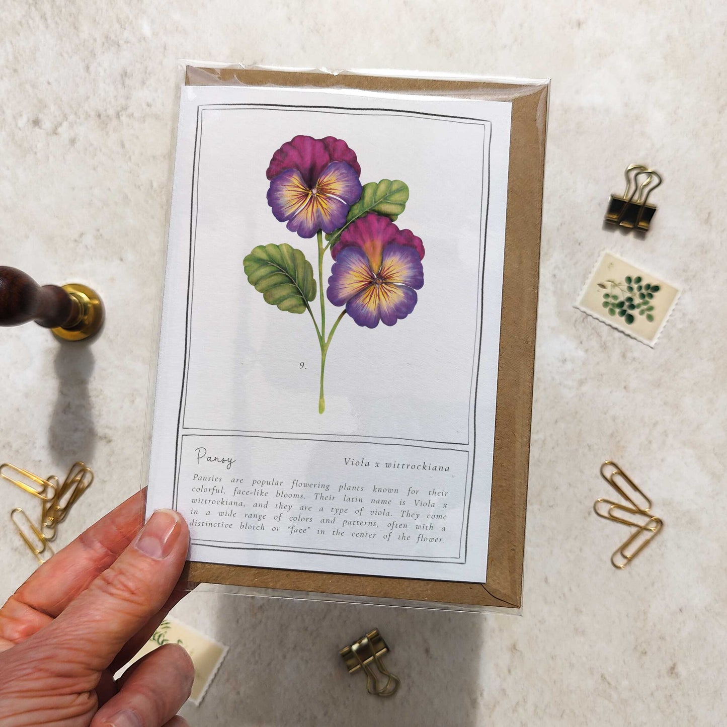 Pansy Botanical Folded Note Card & Envelope