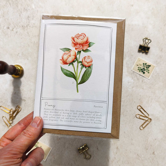 Peony Botanical Folded Note Card & Envelope