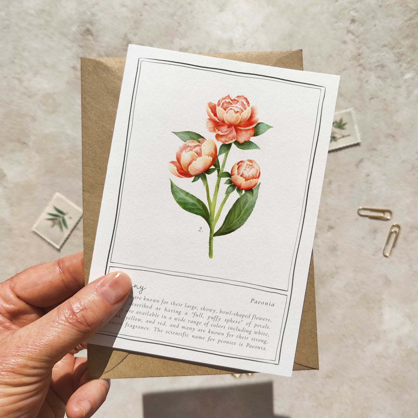 Peony Botanical Folded Note Card & Envelope
