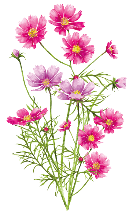 Paint New Flower or Animal