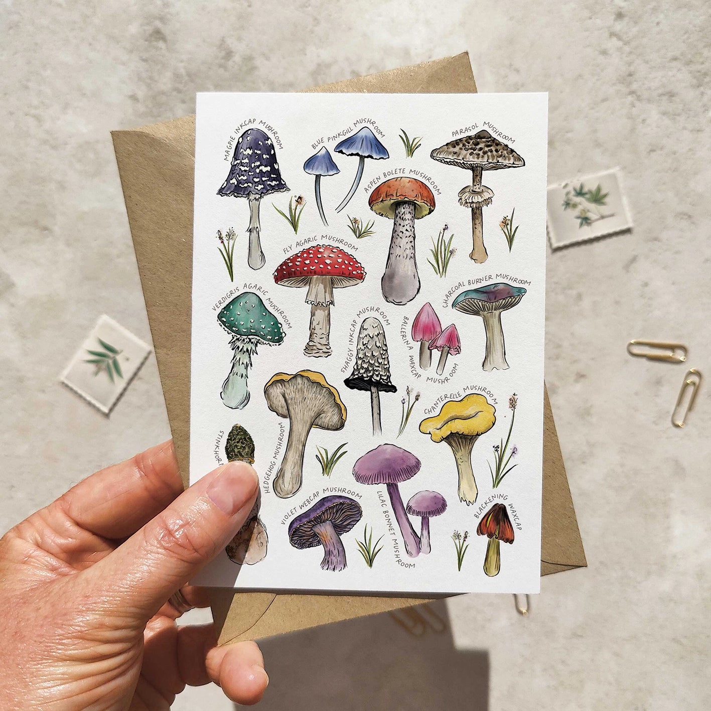 Colourful Mushrooms Note Cards & Envelopes