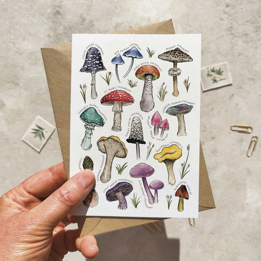 Colourful Mushrooms Note Cards & Envelopes