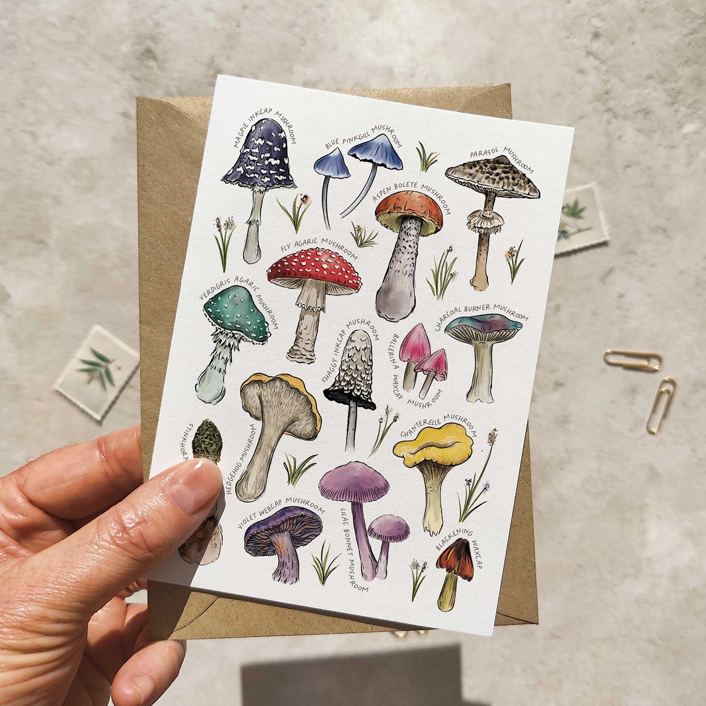 Colourful Mushrooms Note Cards & Envelopes