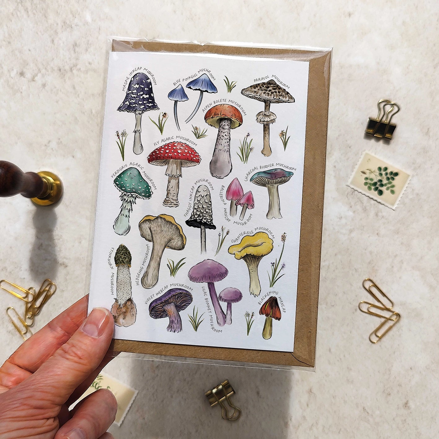 Colourful Mushrooms Note Cards & Envelopes