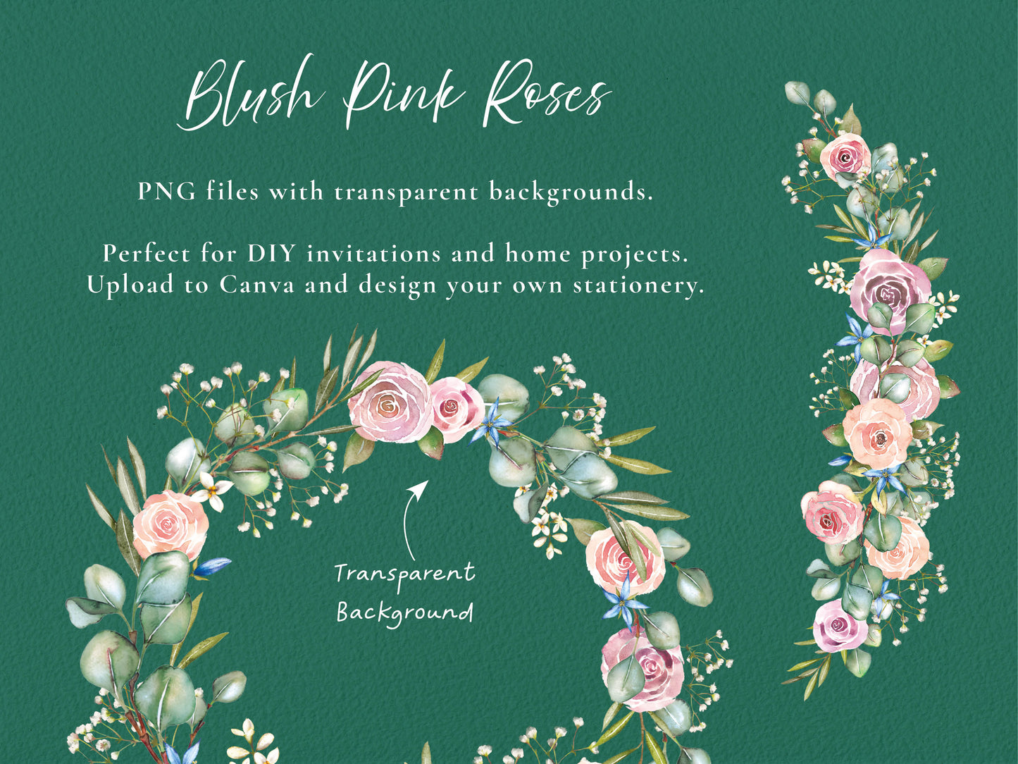 Pink Roses and Eucalyptus 26 x Digital PNG Floral Borders and Motifs
