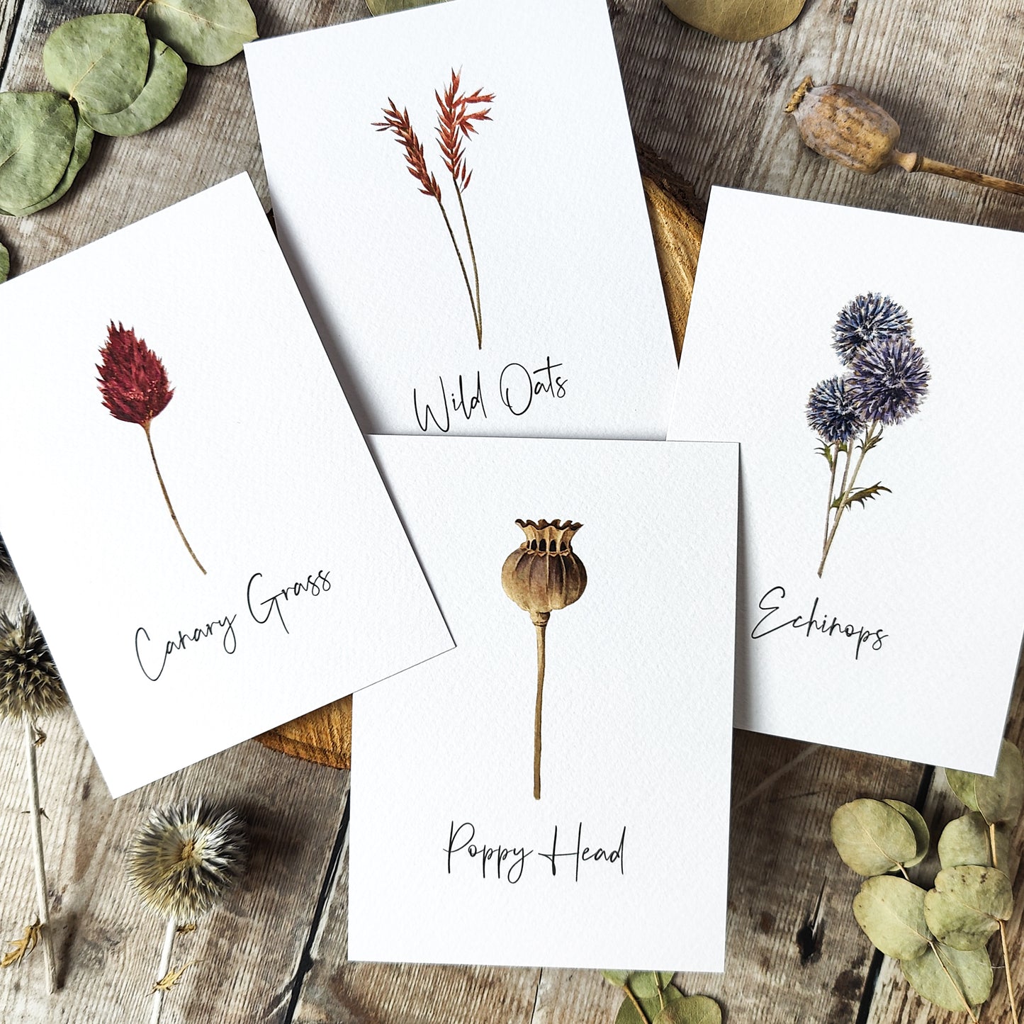 Dried Flowers Table Name Cards