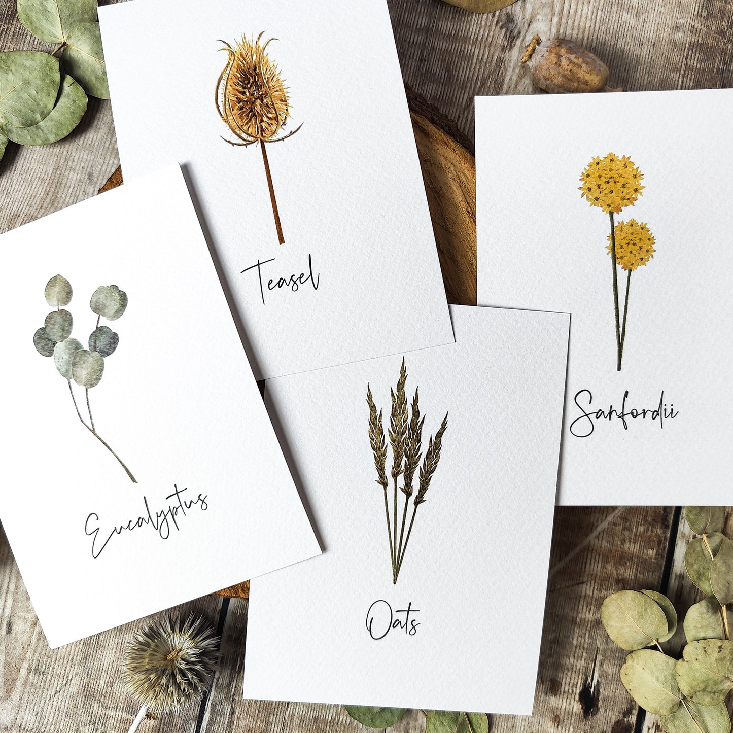 Dried Flowers Table Name Cards