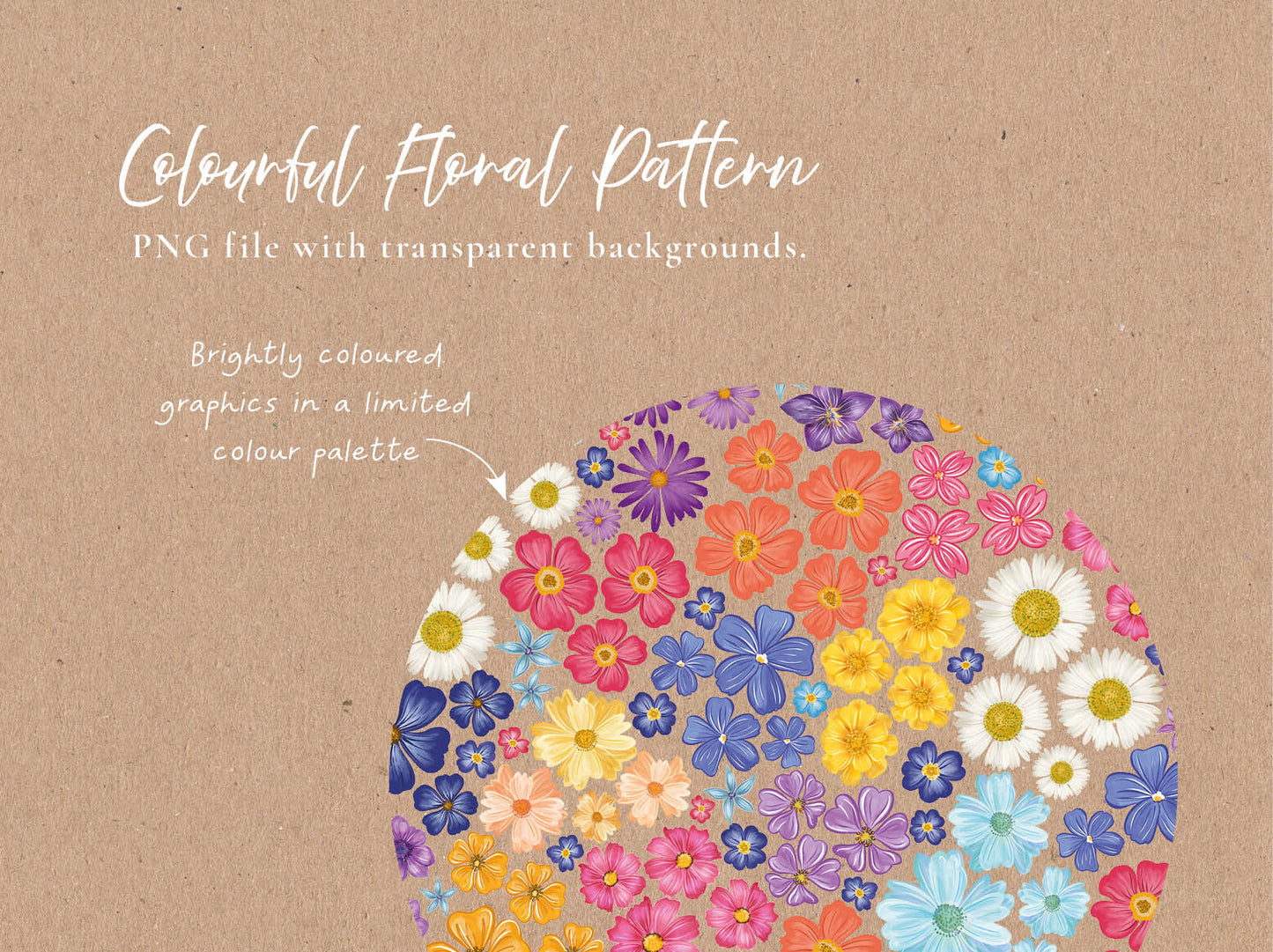 Colourful Flowers 45 x Digital PNG Floral Borders and Motifs