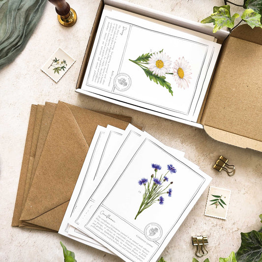 Wildflowers Flat Notelet Gift Set