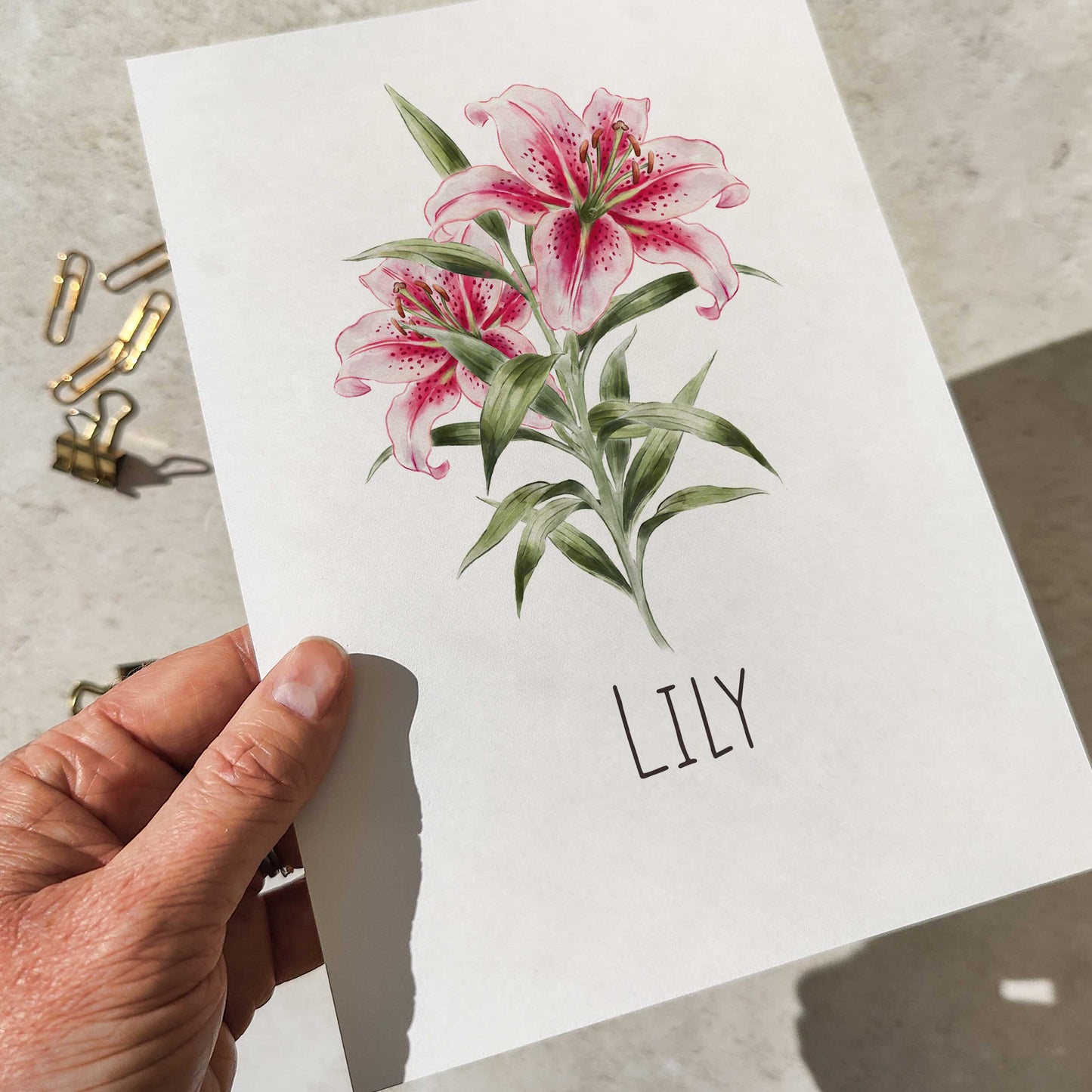 Wildflower Meadow Hanging Table Plan Cards