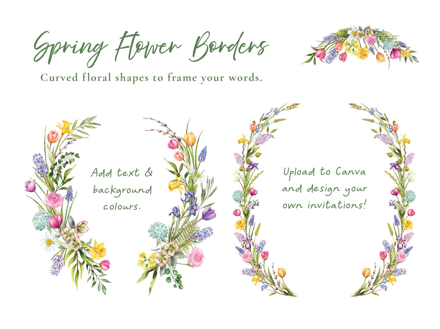 Spring Flowers 30 x Digital PNG Floral Borders and Motifs