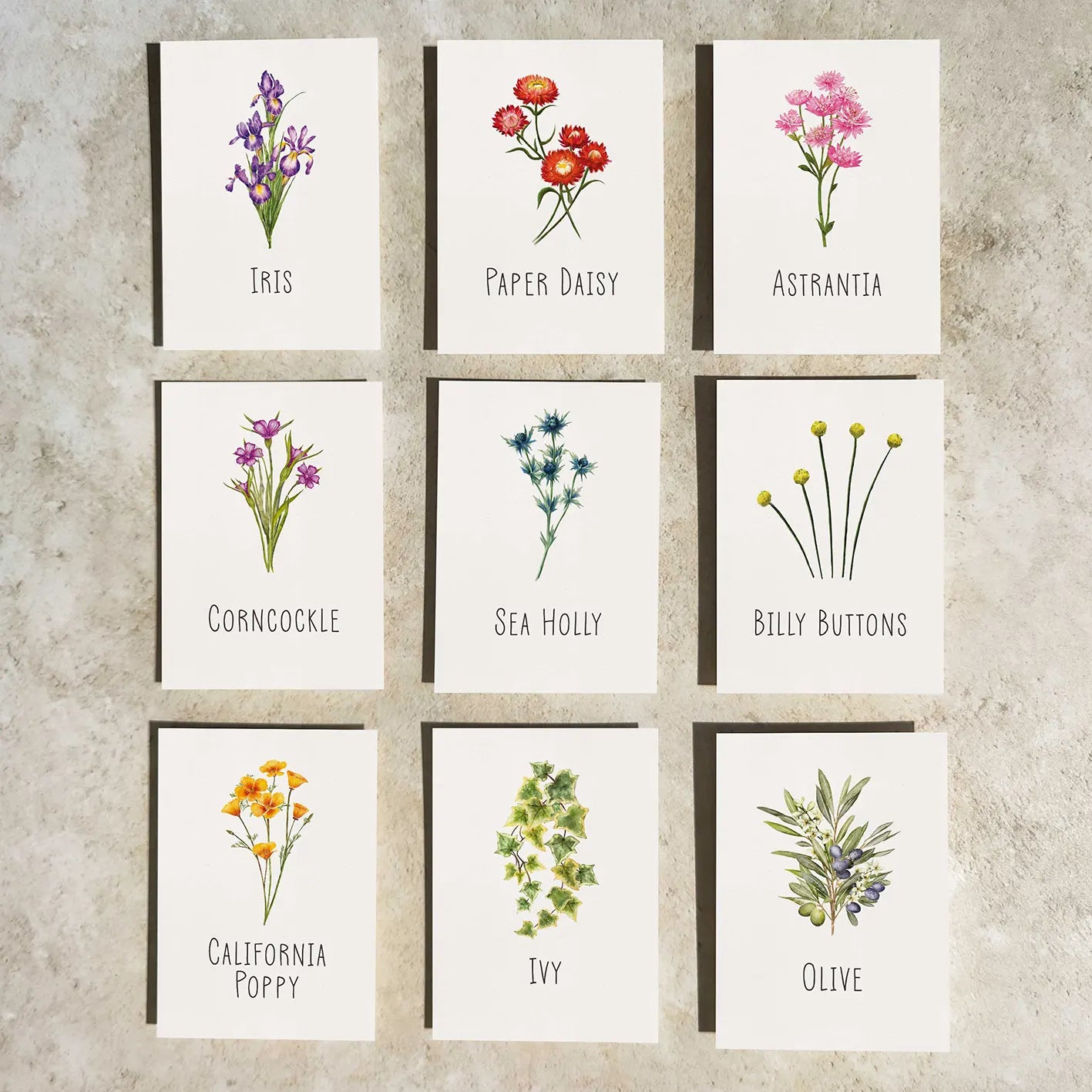 Flower Table Name Cards