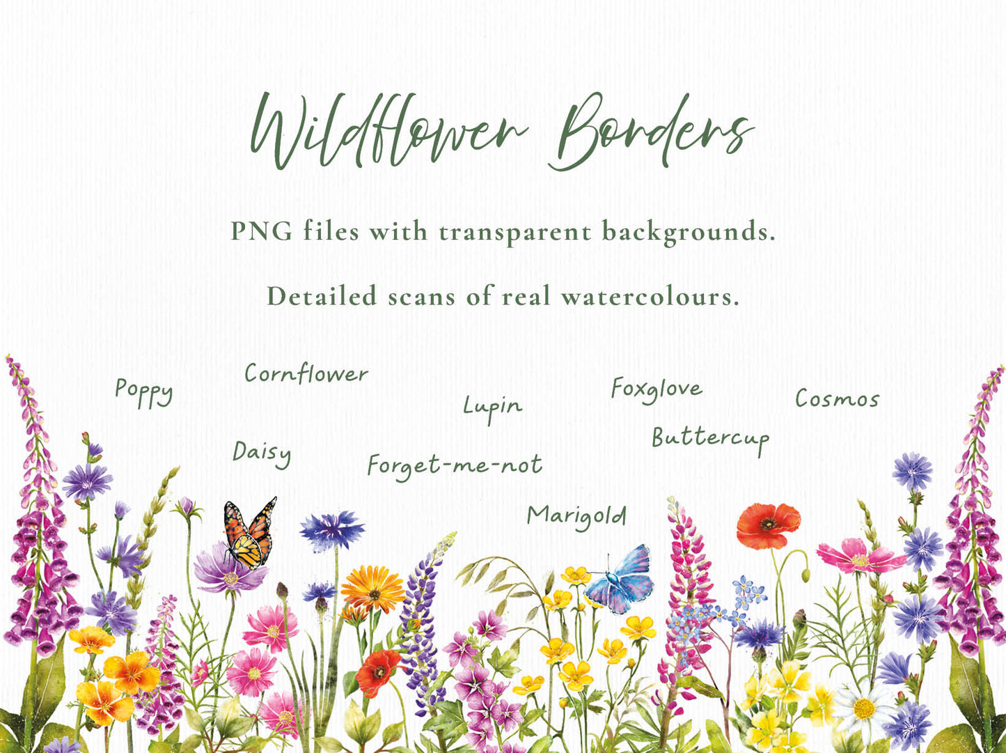 Watercolour Wildflowers 21 x Digital PNG Floral Borders and Motifs