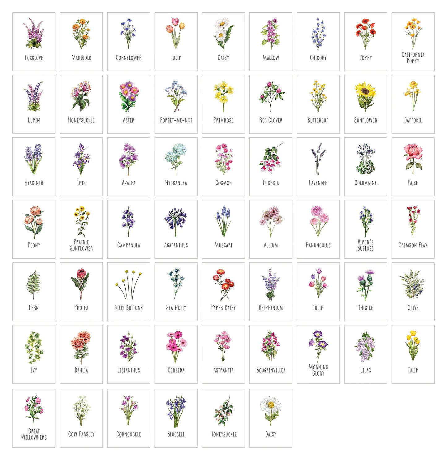 Wildflower A5 Table Plan Cards