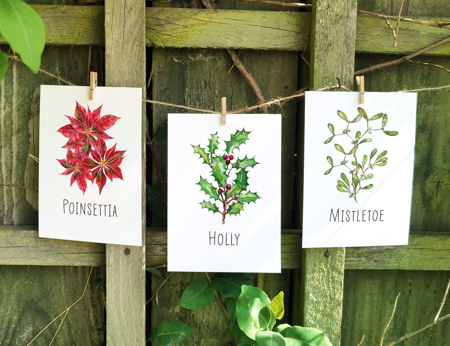 Christmas Watercolour Table Name Cards