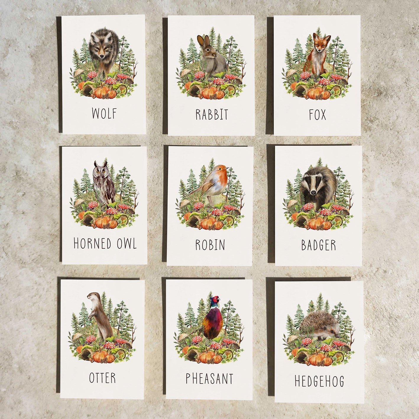 Set of nine cards with illustrations of various forest animals on a textured wall background.