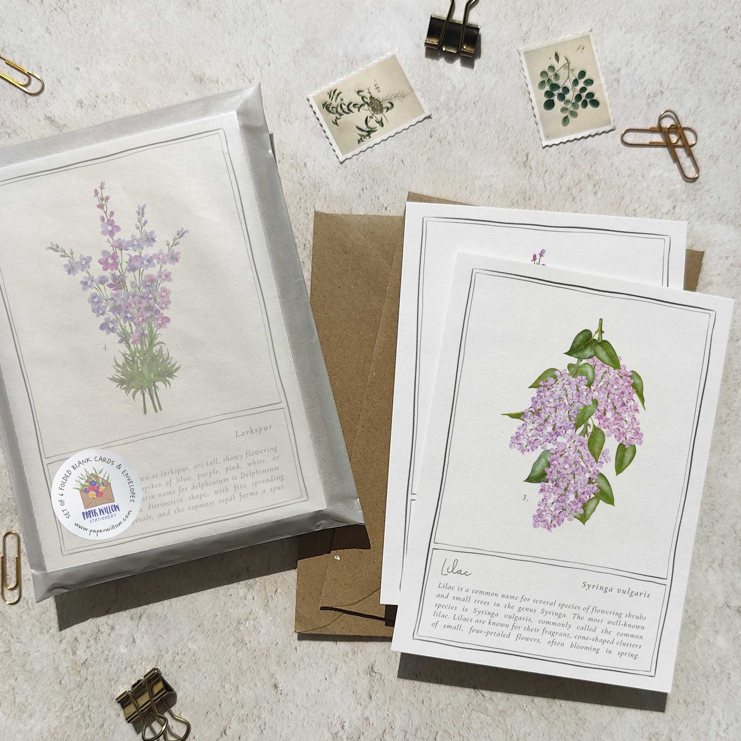Set of 6 Wildflower Purple and Blue Note Cards & Envelopes