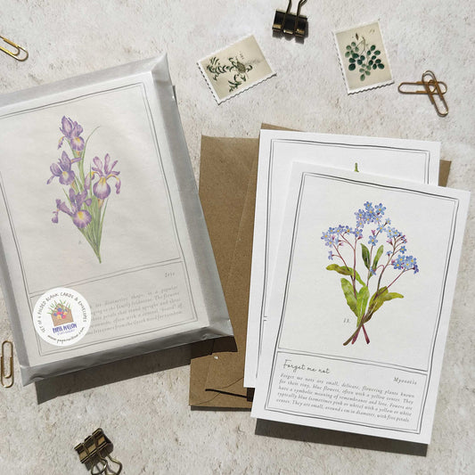 Set of 6 Wildflower Purple and Blue Note Cards & Envelopes