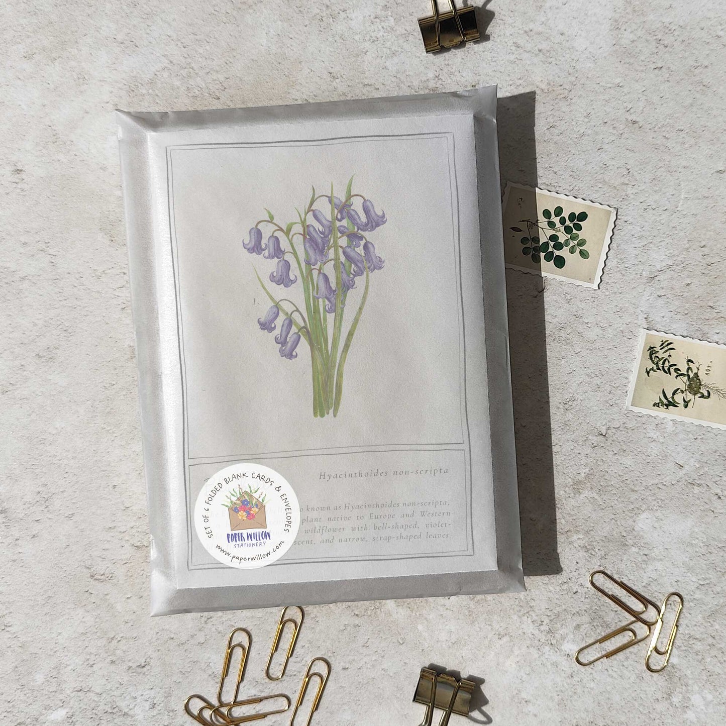Set of 6 Wildflower Purple and Blue Note Cards & Envelopes