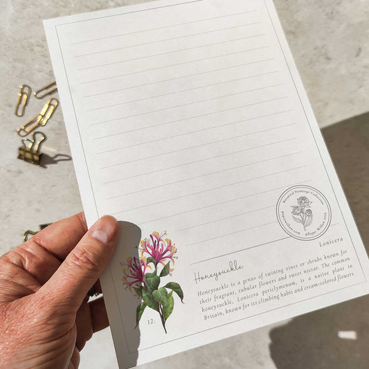 Botanical Letter Writing Set