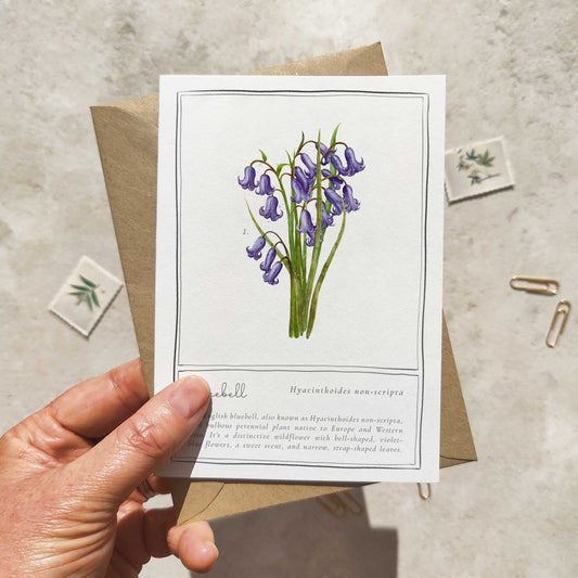 Bluebell Botanical Folded Note Card & Envelope