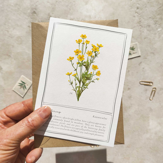 Buttercup Botanical Folded Note Card & Envelope