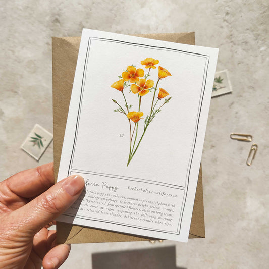 California Poppy Botanical Folded Note Card & Envelope