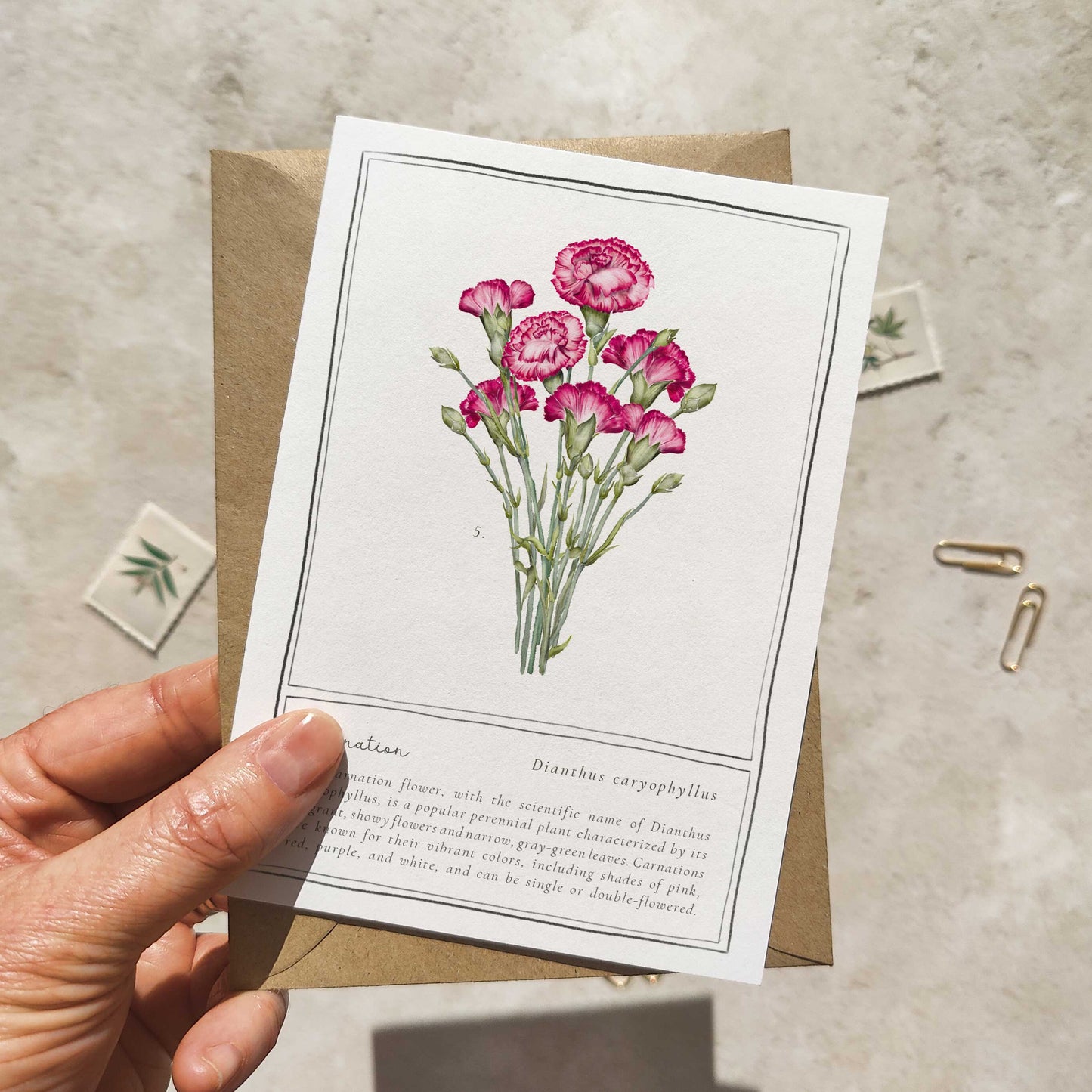 Set of 6 Wildflower Pink, Yellow & Orange Note Cards & Envelopes