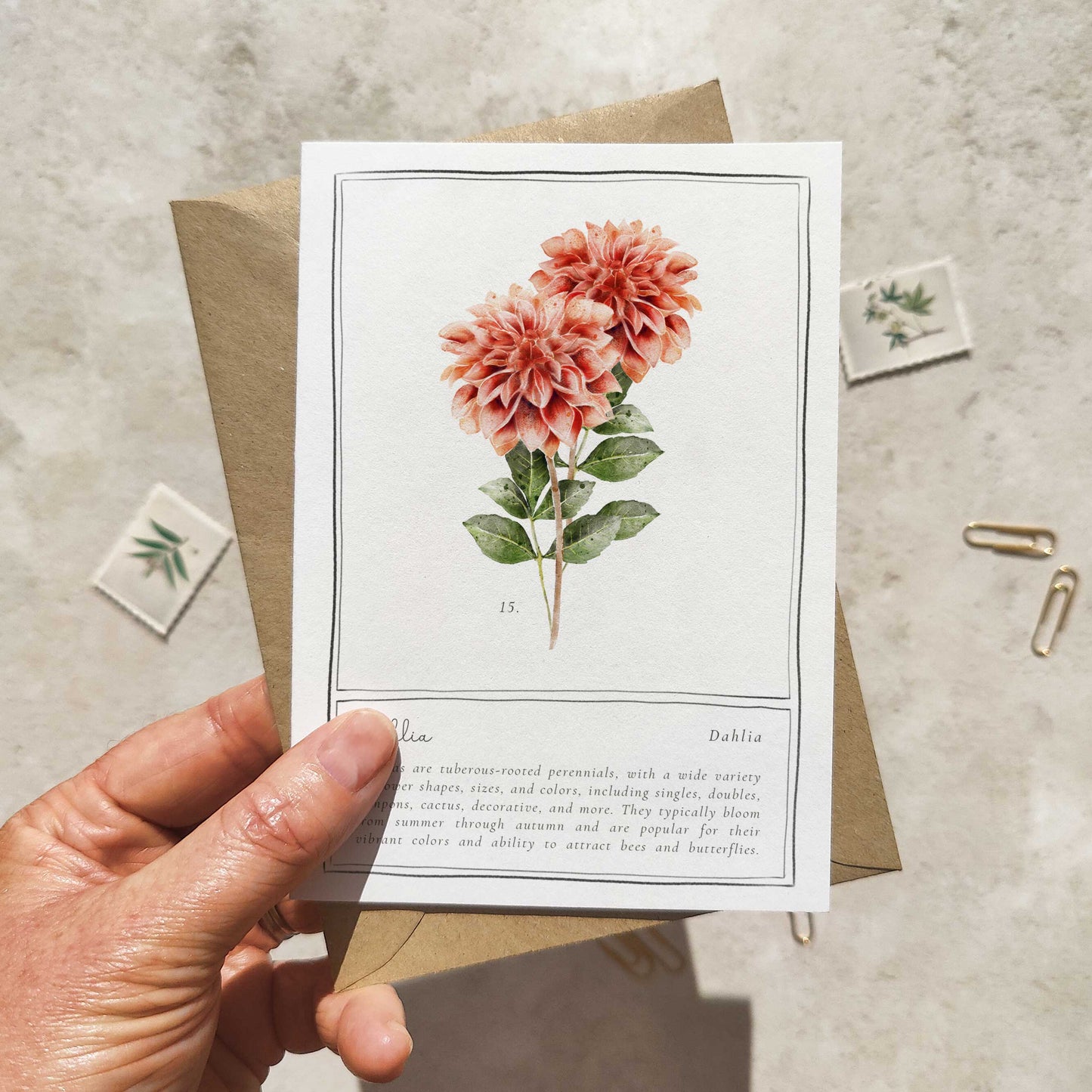 Set of 6 Wildflower Pink, Yellow & Orange Note Cards & Envelopes