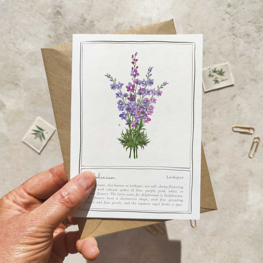 Delphinium Botanical Folded Note Card & Envelope