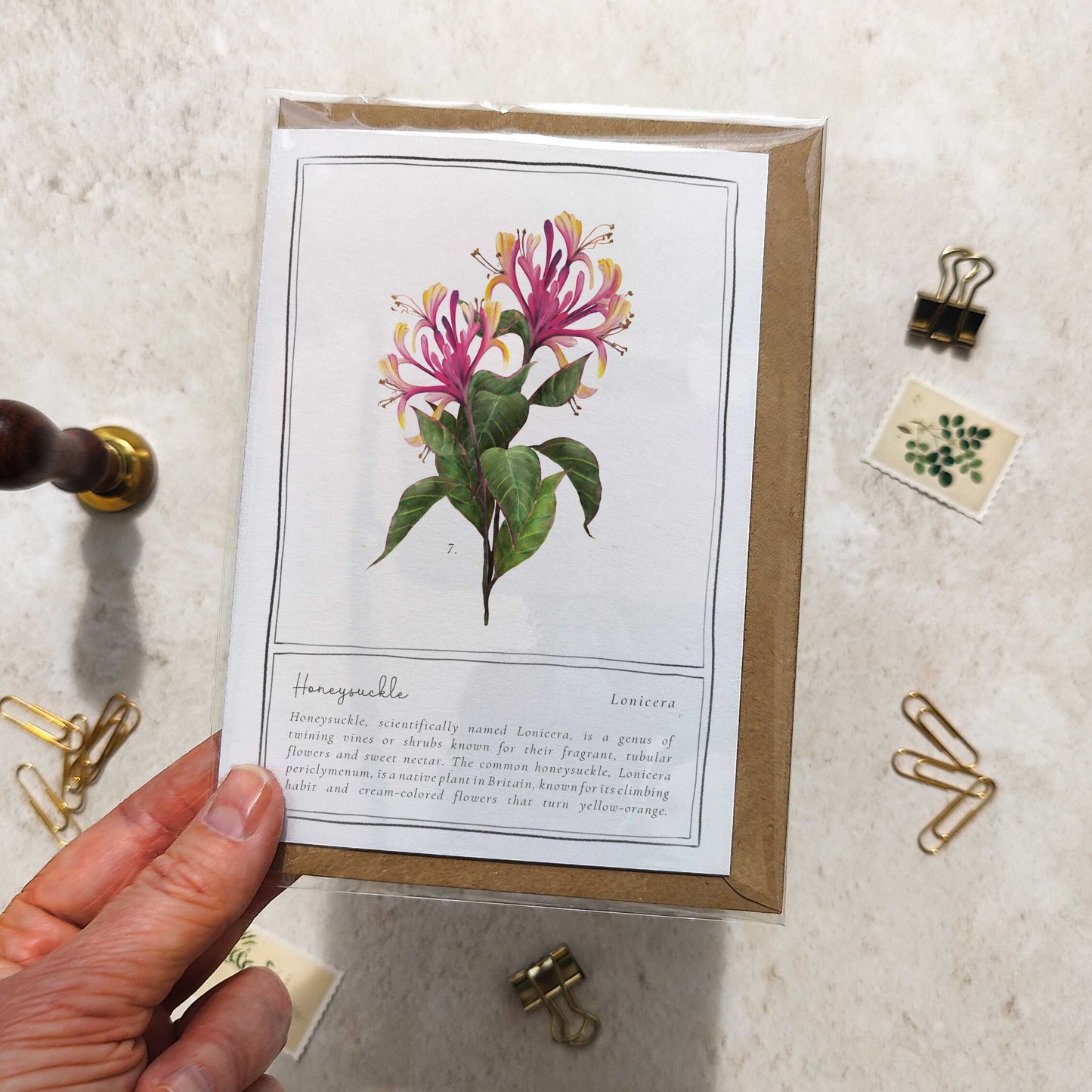 Honeysuckle Botanical Folded Note Card & Envelope